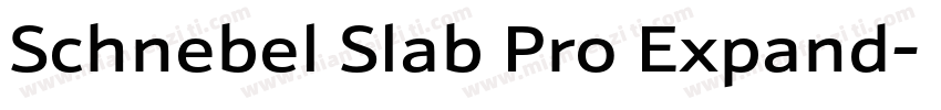 Schnebel Slab Pro Expand字体转换